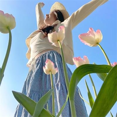 织田信奈的野望